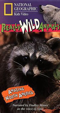 Really Wild Animals: Amazing North America Video 