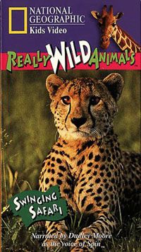Really Wild Animals: Swinging Safari Video 