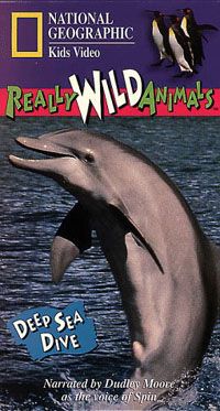 Really Wild Animals: Deep Sea Dive Video 