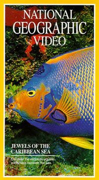 Jewels of the Caribbean Sea Video 
