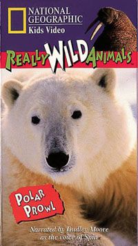 Really Wild Animals: Polar Prowl Video 