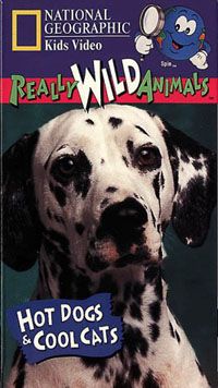 Really Wild Animals: Hot Dogs and Cool Cats Video 