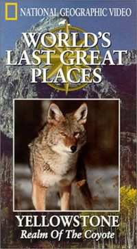 Yellowstone: Realm of the Coyote Video 