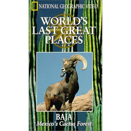 World's Last Great Places: Baja, Mexico's Cactus Forest Video