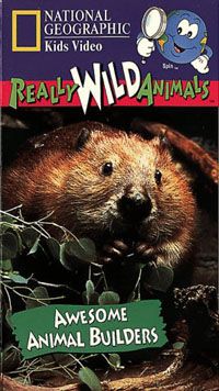 Really Wild Animals: Awesome Animal Builders Video 