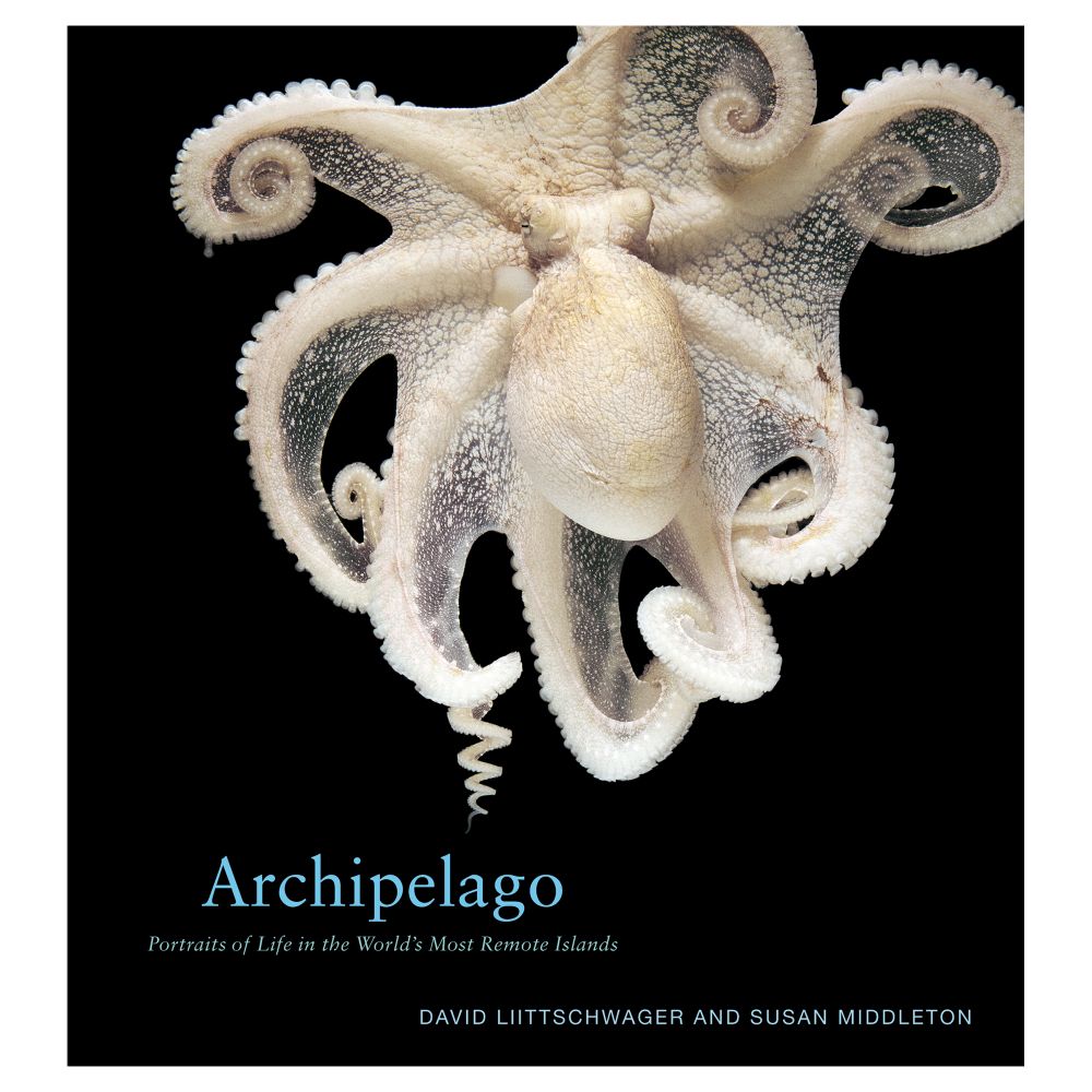 Archipelago