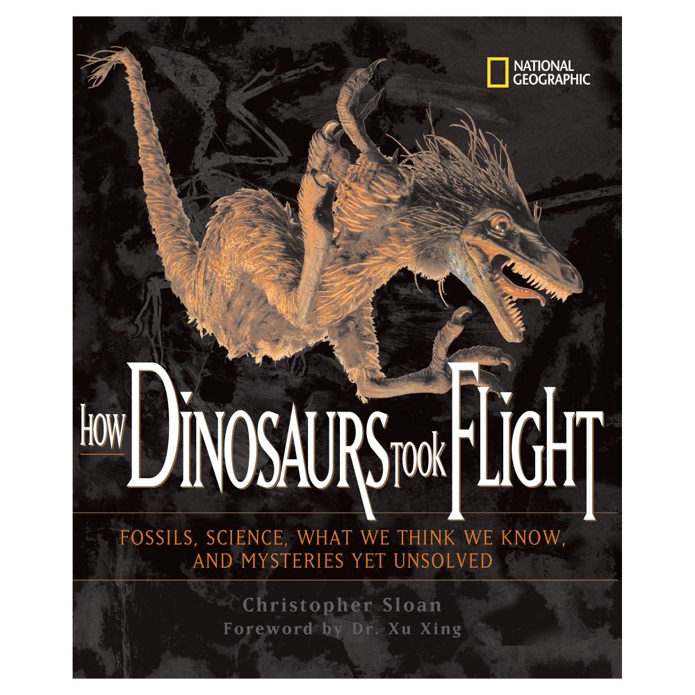 How Dinosaurs Took Flight  