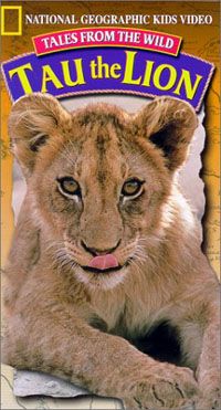 Tales from the Wild: Tau the Lion Video 