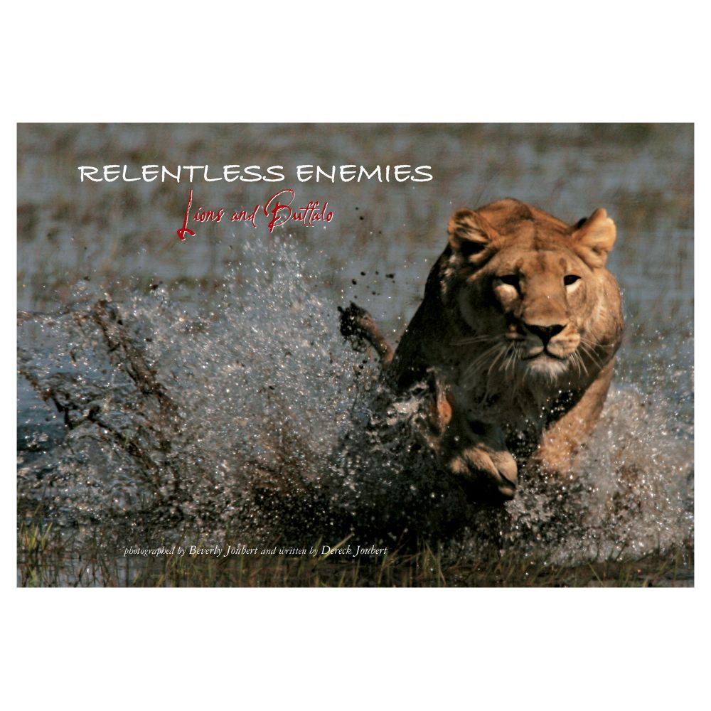 Relentless Enemies