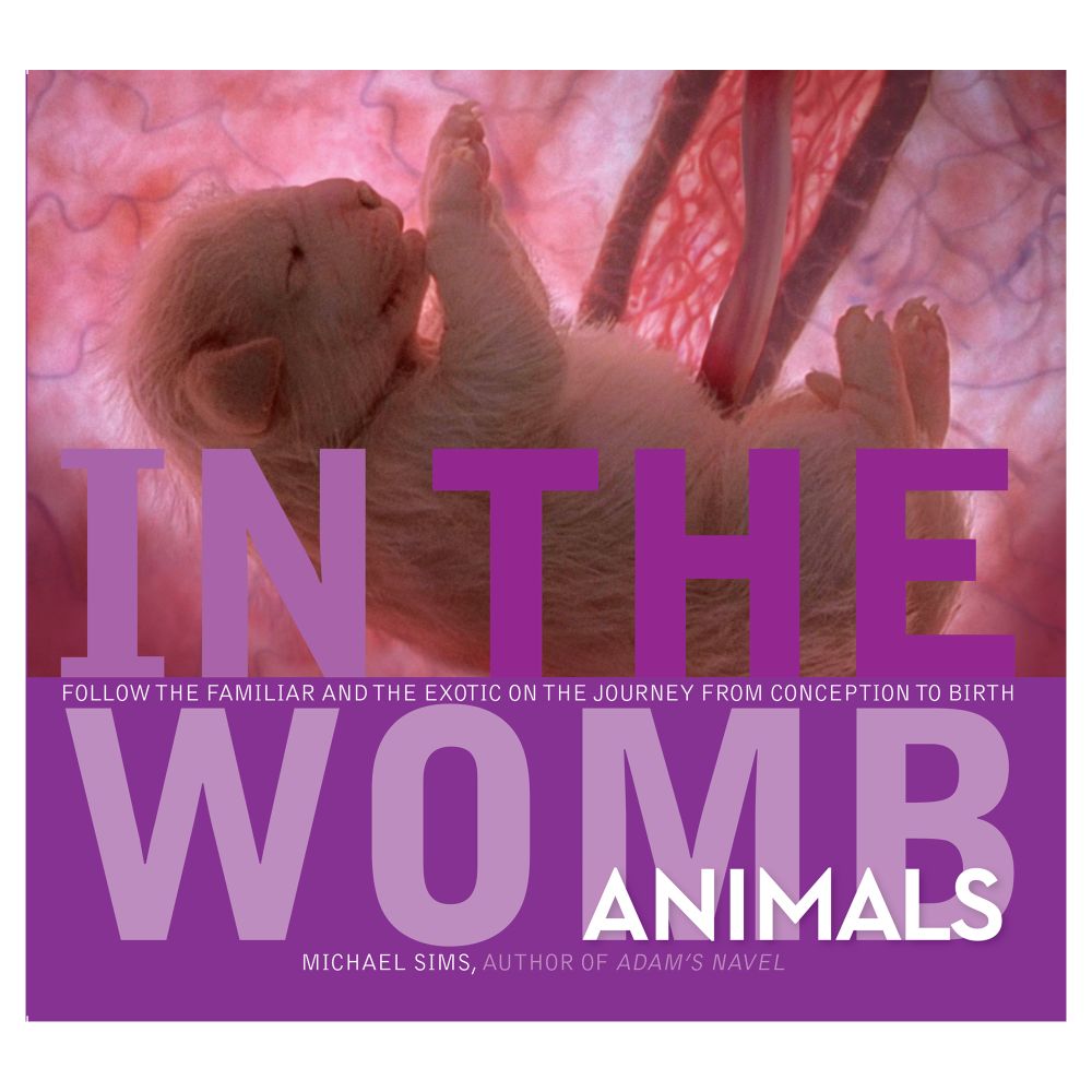 In The Womb: Animals
