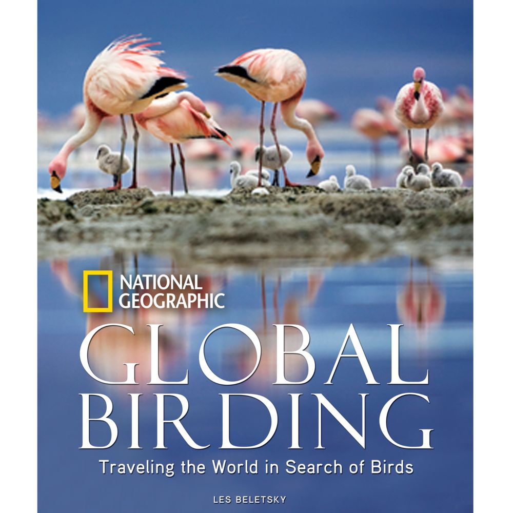 Global Birding