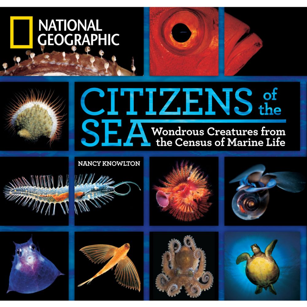 Citizens of the Sea