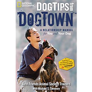 Dog Tips from DogTown