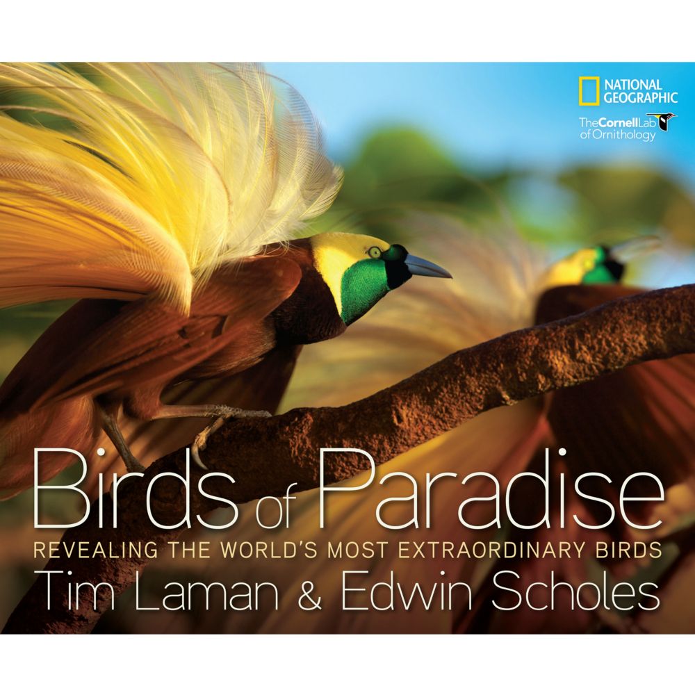 Birds of Paradise