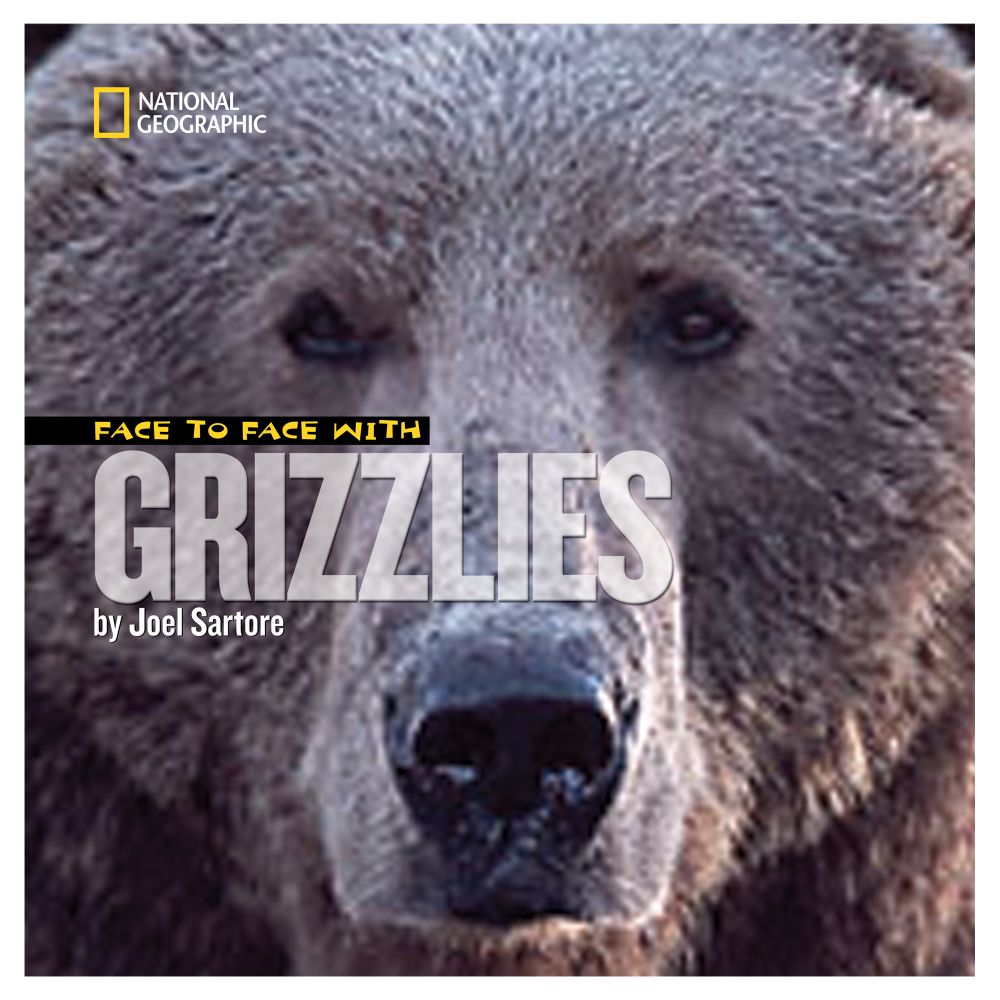 Face to Face with Grizzly Bears