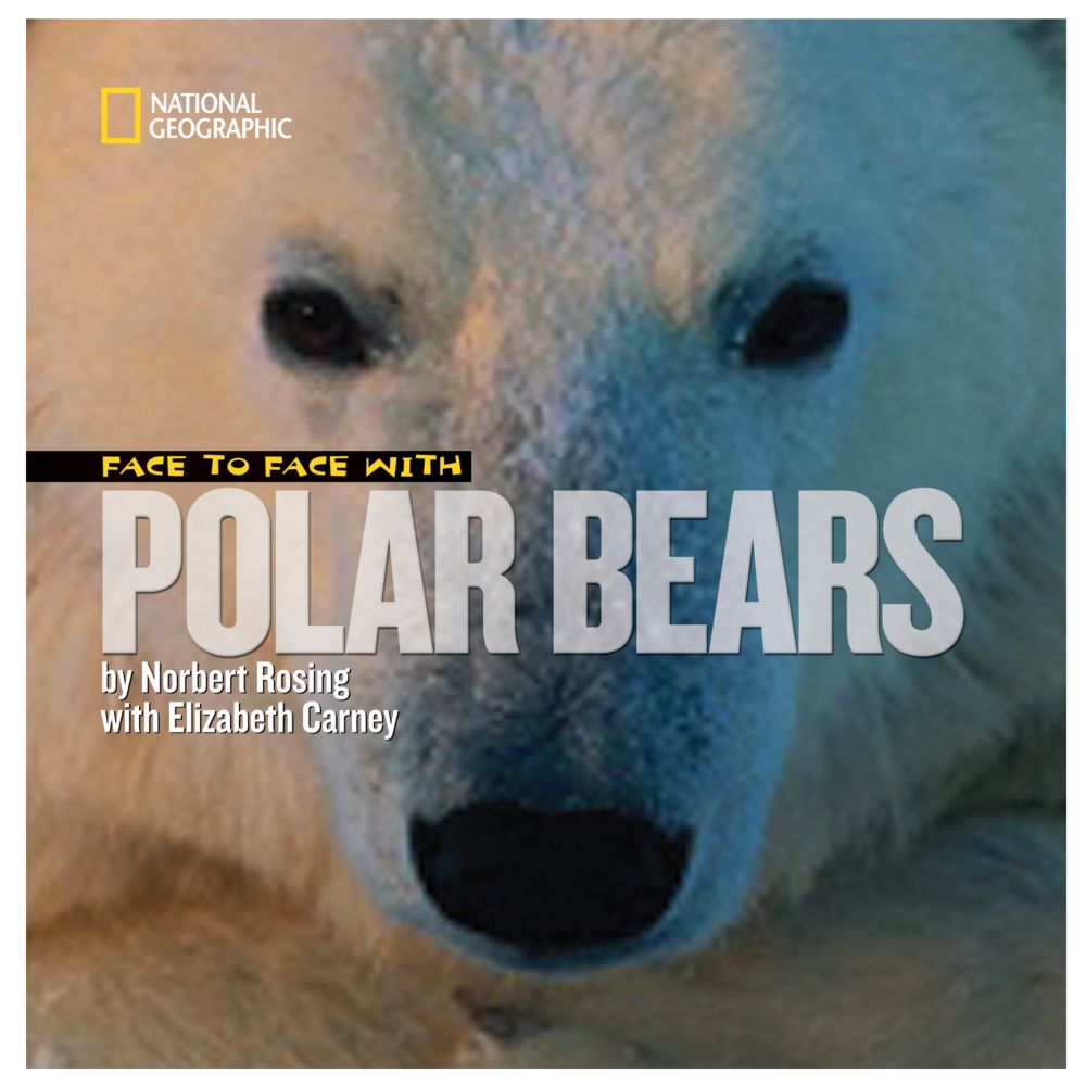 Face to Face with Polar Bears