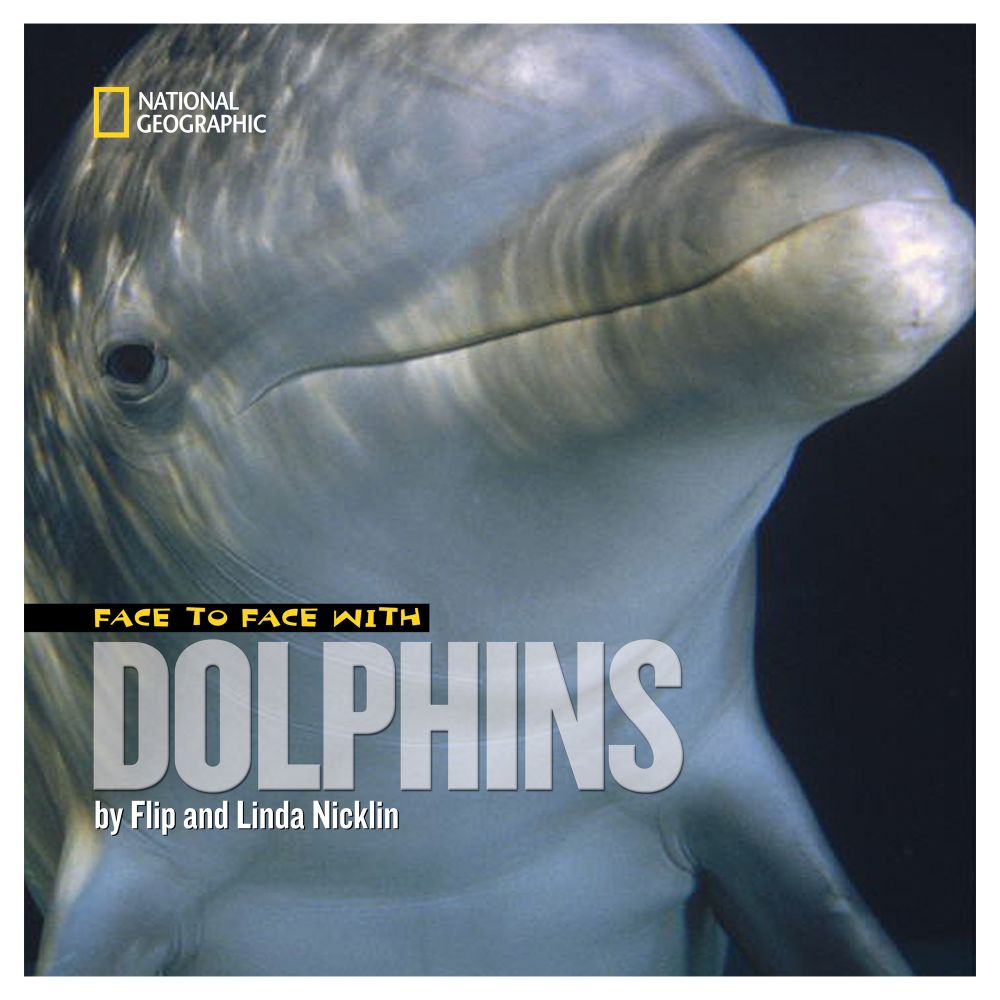 Face to Face with Dolphins
