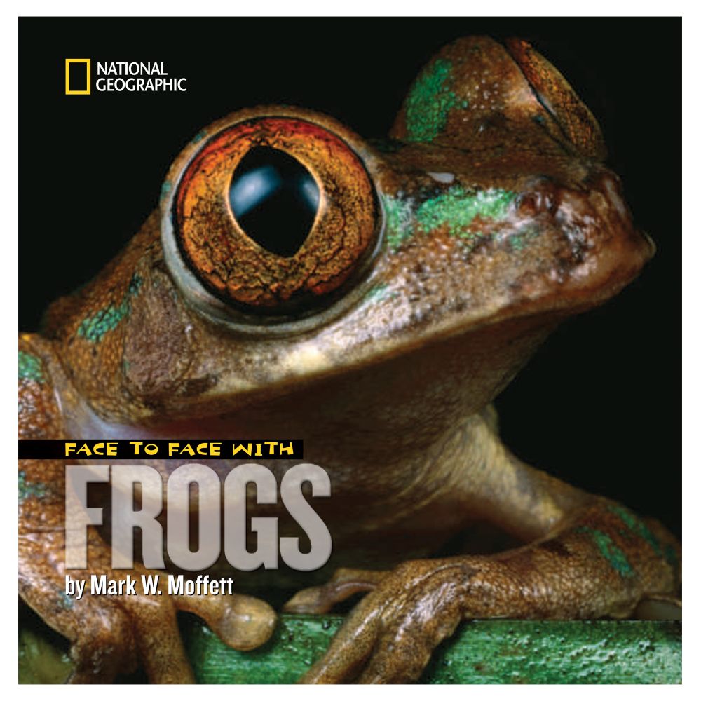 Face to Face with Frogs