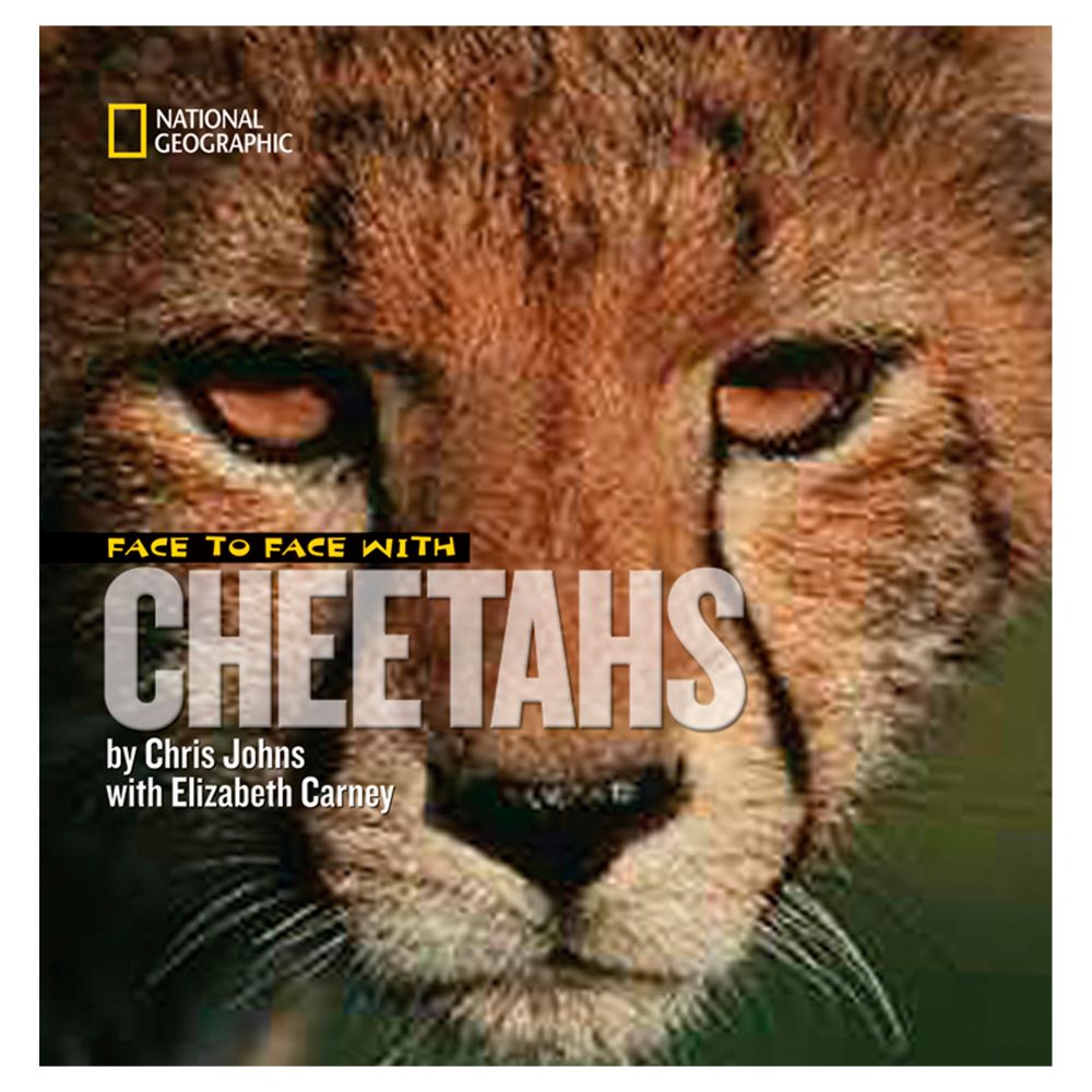 Face to Face with Cheetahs