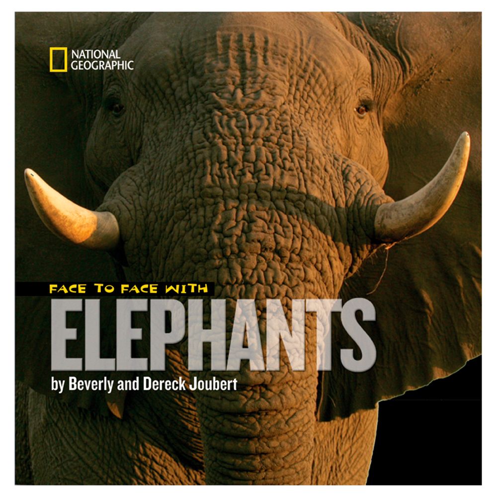 Face to Face with Elephants