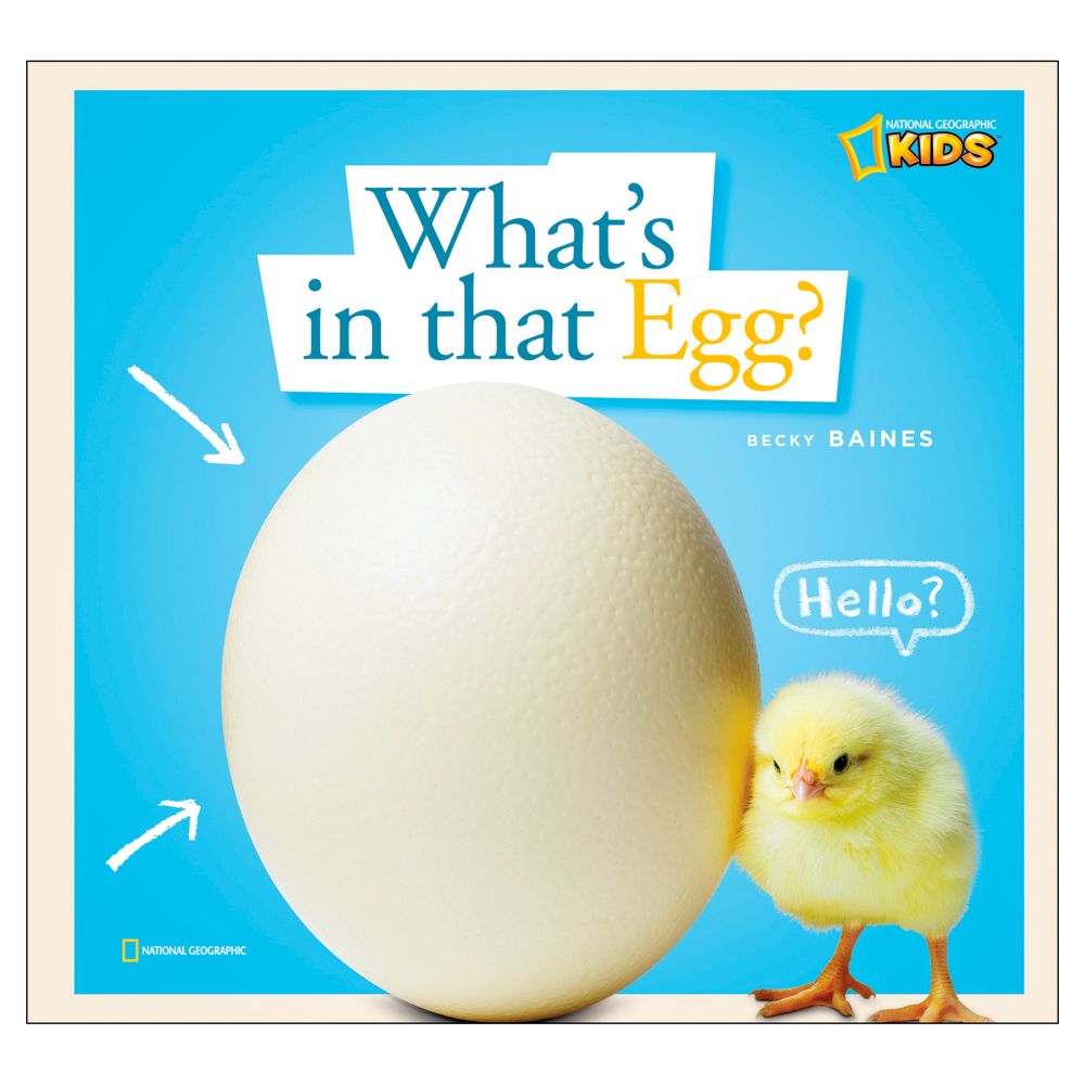 What's In The Egg?