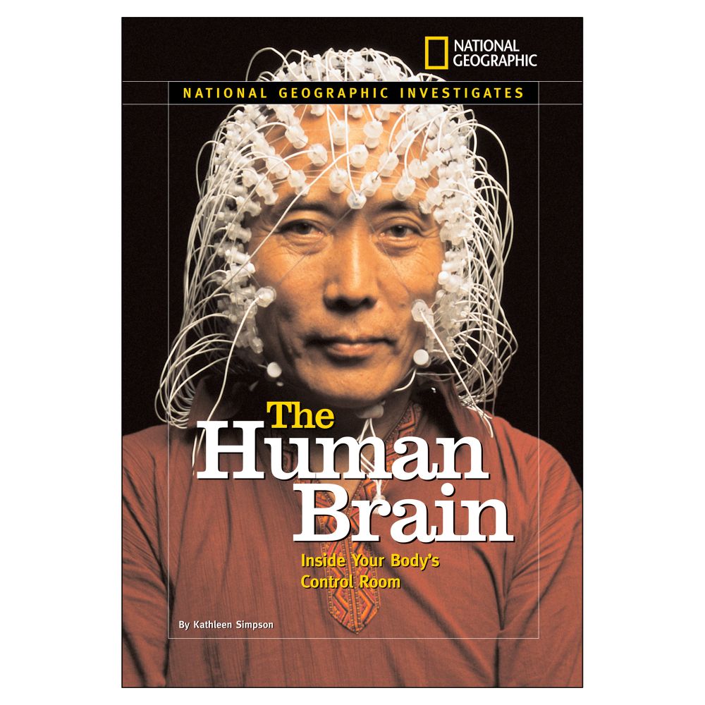 The Human Brain