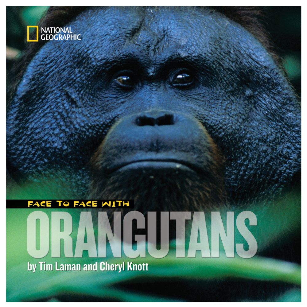 Face to Face with Orangutans