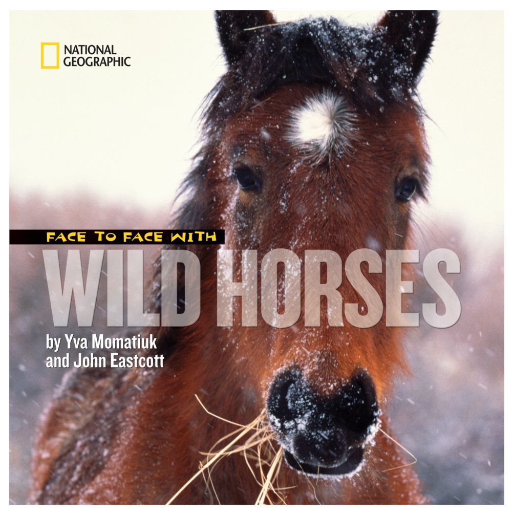 Face to Face with Wild Horses - Hardcover