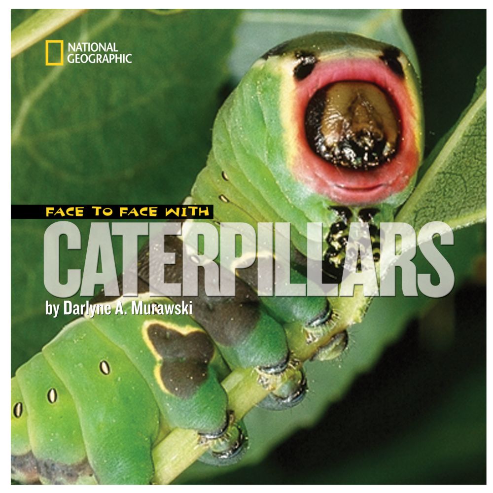 Face to Face with Caterpillars - Softcover