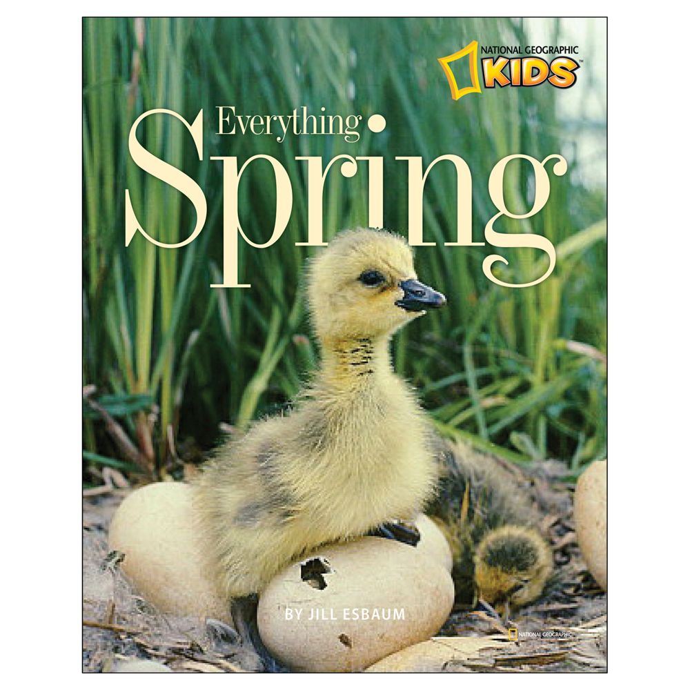 Everything Spring