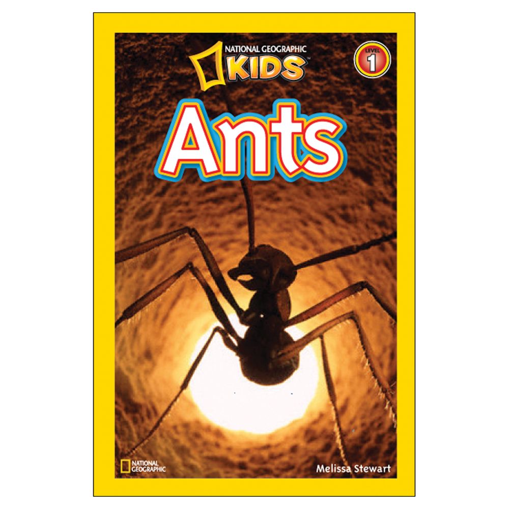 Ants