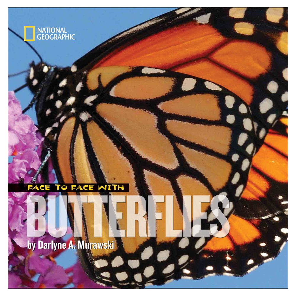 Face to Face with Butterflies