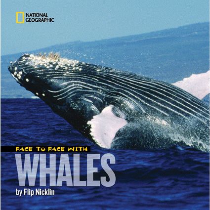 Face to Face with Whales - Softcover