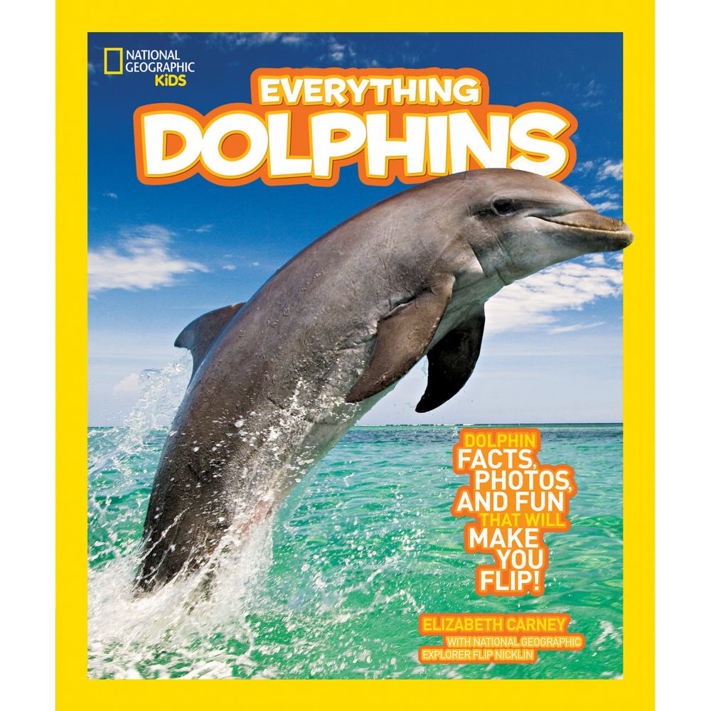 Everything Dolphins