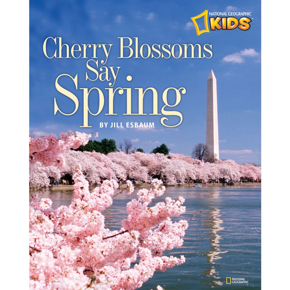 Cherry Blossoms Say Spring
