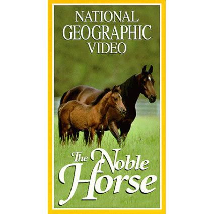 The Noble Horse Video 