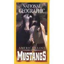 America's Lost Mustangs Video 