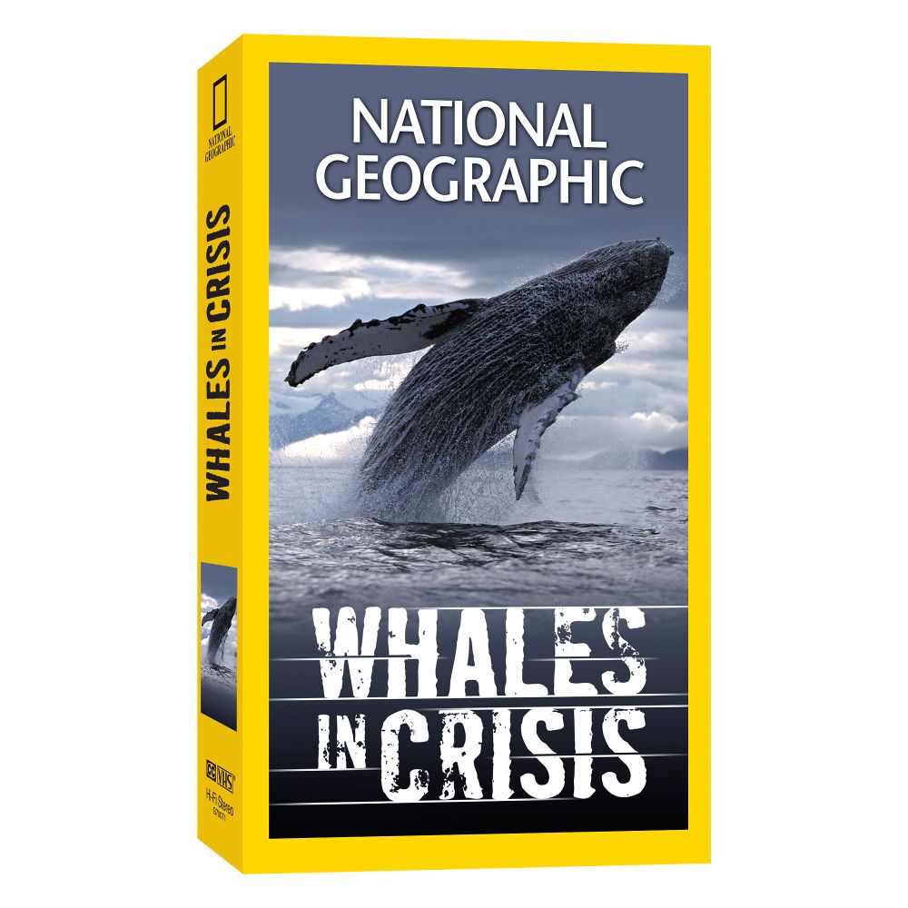 Whales in Crisis Video
