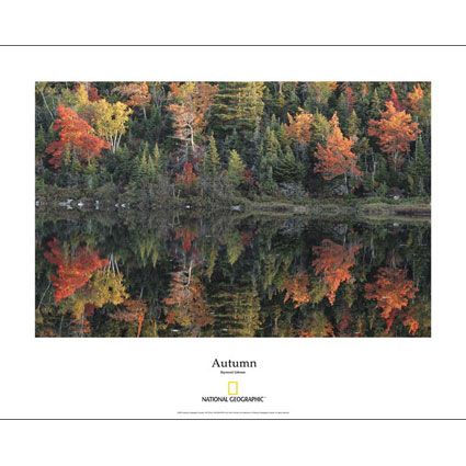 National Geographic Autumn Poster