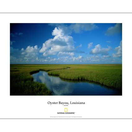 National Geographic Louisiana Oyster Bayou Poster 