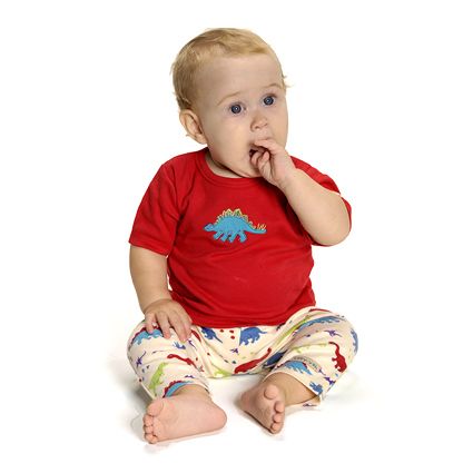 National Geographic Dinosaur Short-sleeved Tee and Legging Set 