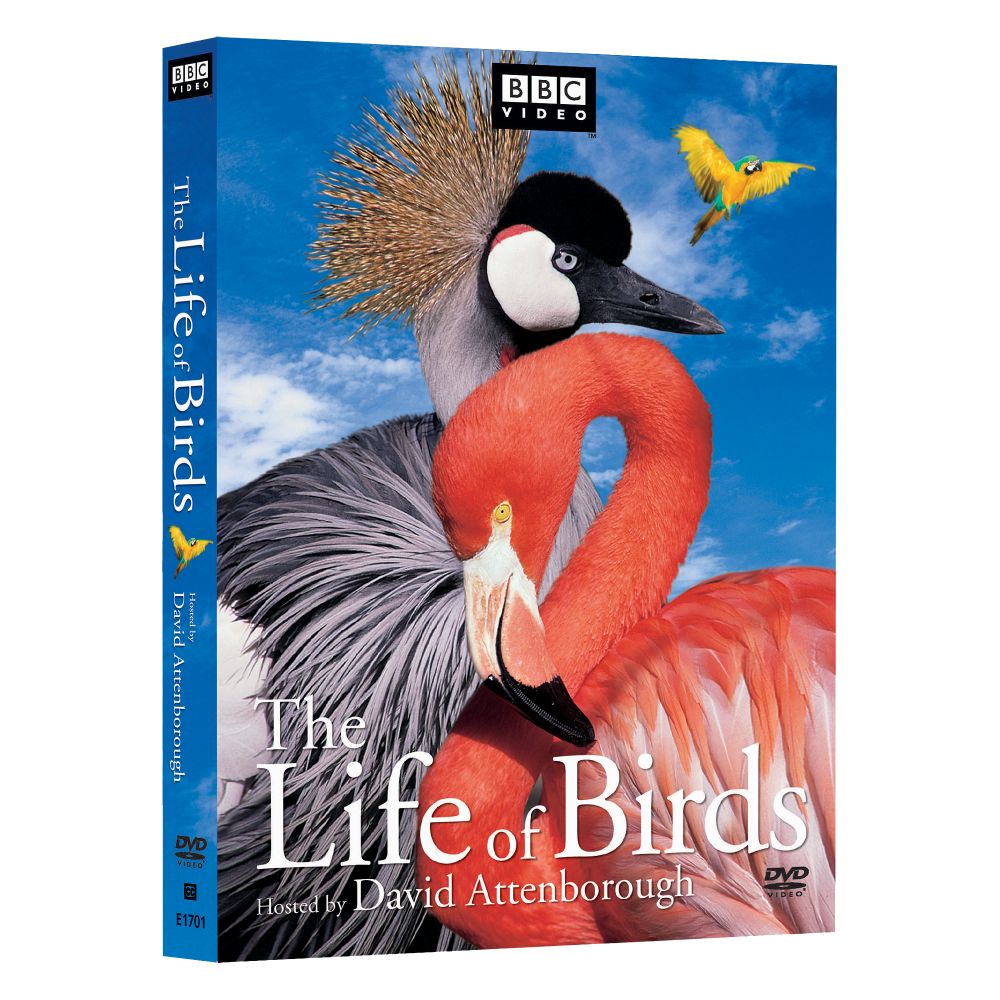 The Life of Birds 3-DVD Set 