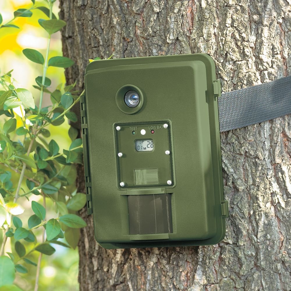 35mm Motion-detection Camera
