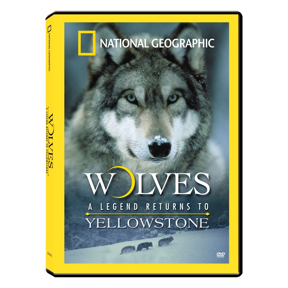 Wolves: A Legend Returns to Yellowstone DVD