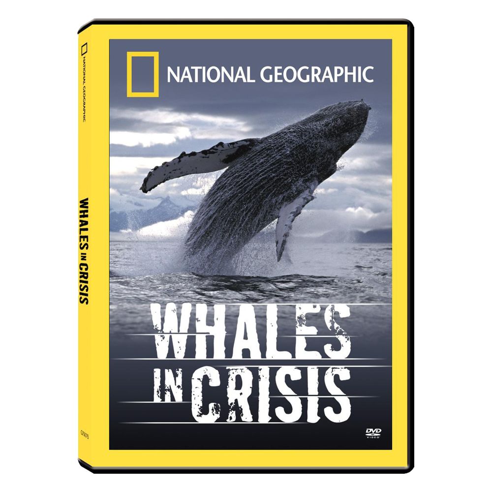Whales in Crisis DVD
