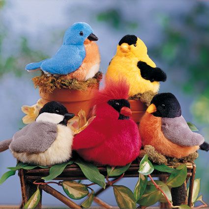 Cuddly Songbirds Choir, Five-bird Set