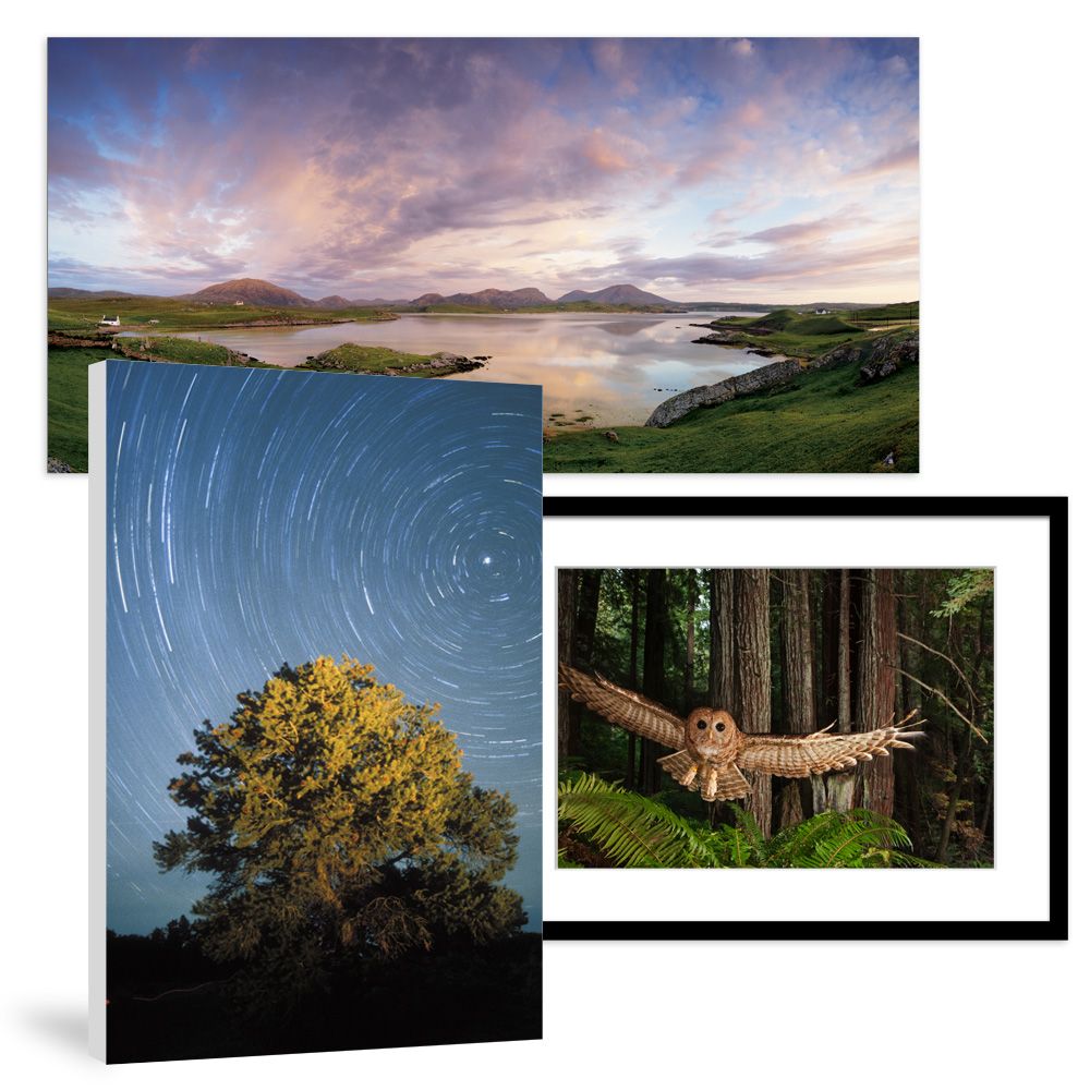 Best-selling Prints & Posters on National Geographic Art Store
