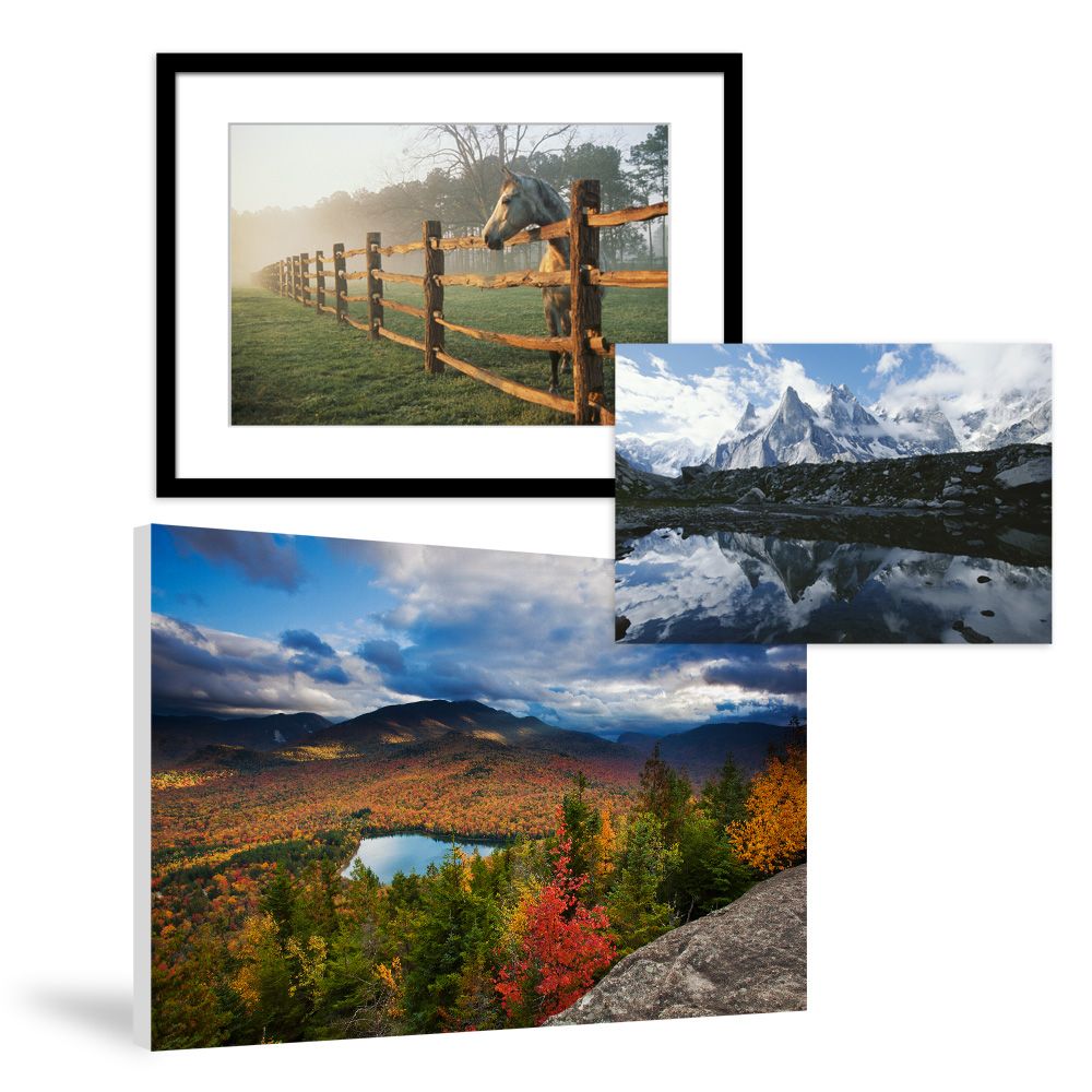 Nature Prints & Posters on National Geographic Art Store