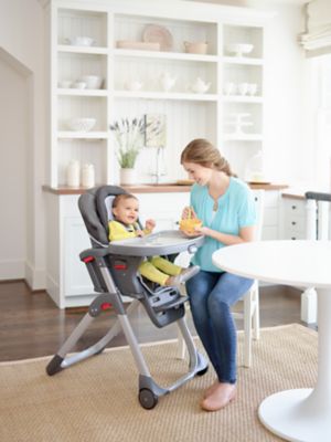 Graco DuoDiner LX Teigen DuoDiner High 