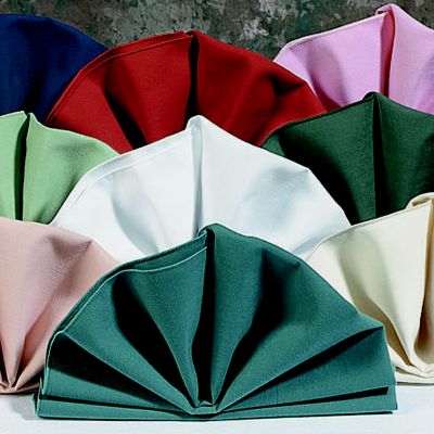 Softweave Napkins, 17'' x 17''